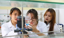 Một trường đại học được yêu cầu có ít nhất 1.000 bài báo quốc tế mỗi năm