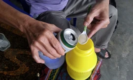 Thực hư dùng bia để tưới, cây xanh mơn mởn