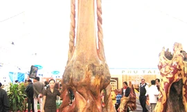 5 kỷ lục Guiness Việt Nam về đồ gỗ