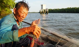 Bên 9 miệng Rồng - Kỳ 3: Đổi khác Ba Lai 