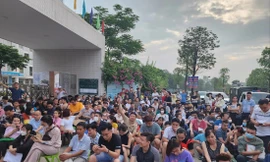 Nộp hồ sơ vào lớp 1 ở Hà Nội: Tái diễn cảnh phụ huynh trắng đêm xếp hàng