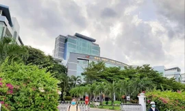 ĐH Tôn Đức Thắng nôn nóng công bố quốc tế: Bộ GD&ĐT yêu cầu ngừng ký hợp đồng với cán bộ '3 không'