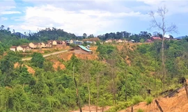 Lằn ranh sinh tử vùng tâm chấn động đất 