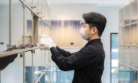 Hàn Quốc: Tranh cãi chuyện tiền phúng viếng chó, mèo 