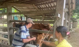 Có một người mẹ Rục như thế... 