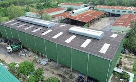 Lò đốt rác hơn 25 tỷ đồng ở Hội An: Làm xong 8 năm chỉ để… tập kết rác 