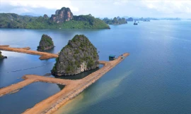 Lấp vùng đệm vịnh Hạ Long làm biệt thự, nhà liền kề: Chủ đầu tư để bùn đất trôi tự do ra vịnh 