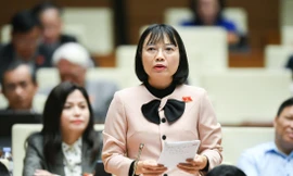 Đại biểu Quốc hội Nguyễn Thị Việt Nga: Đánh giá mức độ hoàn thành nhiệm vụ từ quý đầu năm 