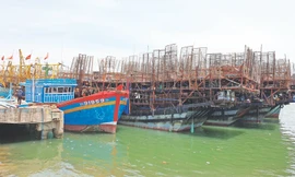 Những con tàu nằm lại đáy biển khơi 