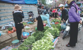 Đời thường rau cỏ 