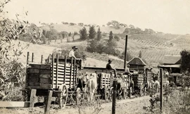 Vị samurai huyền thoại ở California