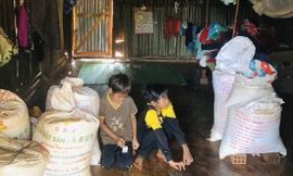 Vỡ mộng đổi đời 