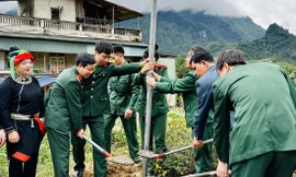 Ấm nồng đông lạnh giá