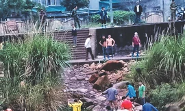 Một chuyến điều tra nhớ đời... 