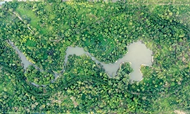 Vườn thực vật Hà Nội - Khu rừng sinh thái giữa lòng Thủ đô