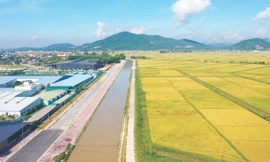 Phát triển các sản phẩm mang tính thương hiệu đặc trưng vùng miền 