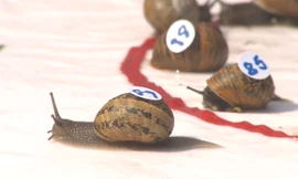 10 cuộc thi kỳ lạ nhất thế giới