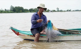 Chơi vơi mùa nước nổi: Đồng Tháp Mười 'đói' tôm, cá 