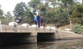 'Rái cá' bản Lìm 