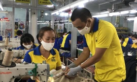 Áp lực giá, phí: Doanh nghiệp điêu đứng 