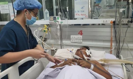 Nhiều người nguy kịch vì mắc sốt xuất huyết trái mùa 