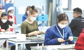 Tiếp sức doanh nghiệp để phục hồi kinh tế 