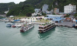 Hải Phòng vươn tới điểm đến hàng đầu 