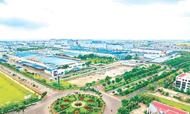 VIGLACERA, HÀNH TRÌNH XANH 