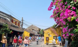 Bán vé thu tiền du khách thăm phố cổ Hội An: Nhiều ý kiến trái chiều 