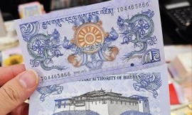 'Săn' tiền rồng cho năm mới 