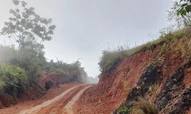 Vùng đất vắng bóng đàn ông 