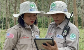  'Bông hồng thép' Diệu Linh 