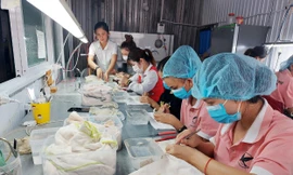 Cô gái vùng sâu khởi nghiệp từ yến 