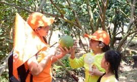 Đi những tua du lịch ngắn ngày được nhiều khách hàng lựa chọn