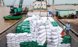 Doanh nghiệp Việt phá giá, giành đơn xuất khẩu gạo? 