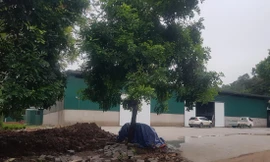 Công trình vi phạm 