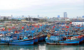 Vì sao nông nghiệp giải ngân đầu tư công chậm?