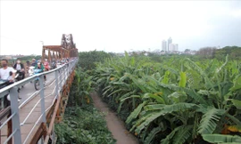 Công viên bãi giữa sông Hồng: Ưu tiên sinh thái hay thương mại? 