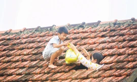 Tác nghiệp vùng rốn lũ 