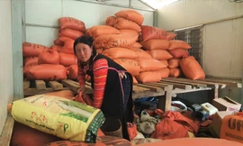 Một thời tìm dân lập bản 