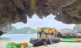 Du lịch gặp khó: Giá xăng 'ăn' hết lãi 