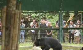 Sẽ có thêm trung tâm cứu hộ gấu quy mô lớn 