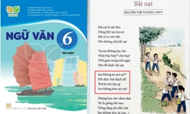 Bài thơ Bắt nạt gây tranh cãi: Cuộc chiến đưa thơ văn đương đại vào SGK? 