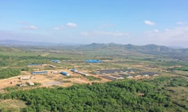 Tự ý xây trại lợn, trồng chuối trên hàng trăm ha đất rừng 