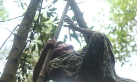 Nghề săn trứng kiến 