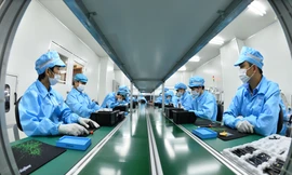 Điểm sáng xuất khẩu