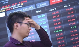 Lãi suất giảm sâu, sao chứng khoán liên tục 'đỏ sàn'? 