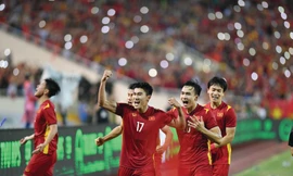 VFF: Đại hội nhiệm kỳ 9 có êm ả? 