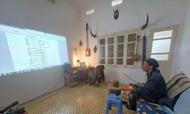 Những phát hiện rúng động về ả đào 