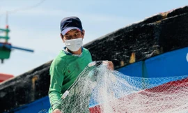 Bão Trà Mi sẽ gây mưa dữ dội ở miền Trung 